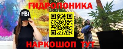 кокс Можайск