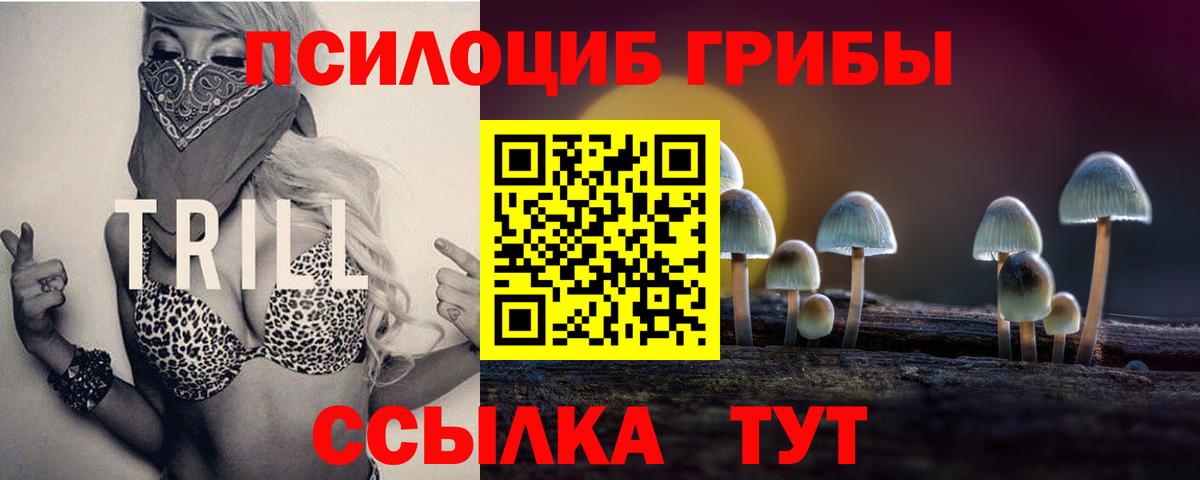 Псилоцибиновые грибы мицелий Ярославль